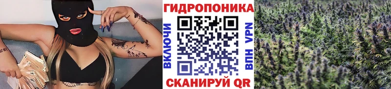 Где купить наркотики Карасук Конопля  Кокаин  ГАШ 